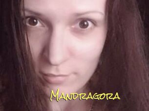 Mandragora