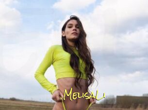 MelisaLi