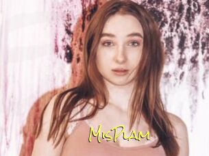 MisPlam