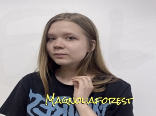 Magnoliaforest