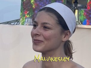 Malvinesley