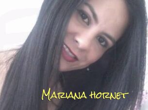 Mariana_hornet