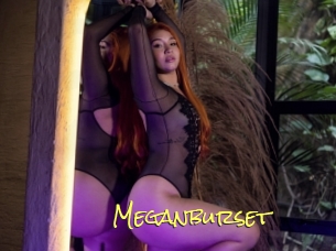 Meganburset