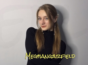Meghangarfield