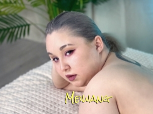 Meiwang