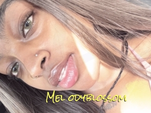 Mel_odyblossom