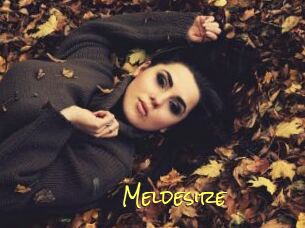 Meldesire