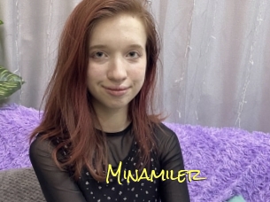 Minamiler