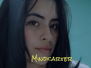 Minjicarter