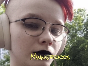 Minniebriggs