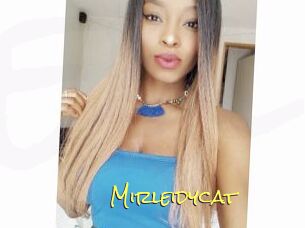 Mirleidycat