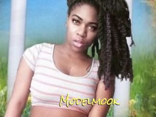 Modelmook