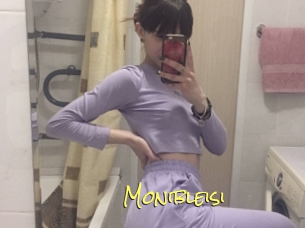 Monibleisi
