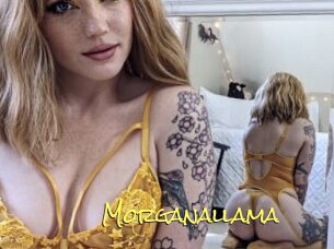 Morganallama