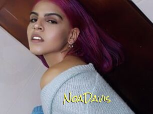 NoaDavis