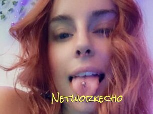 Networkecho