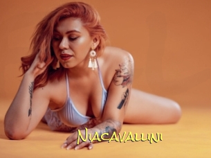 Niacavallini