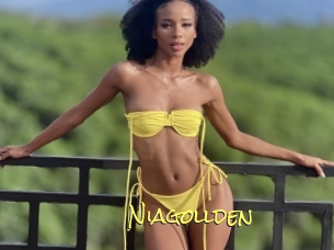 Niagollden