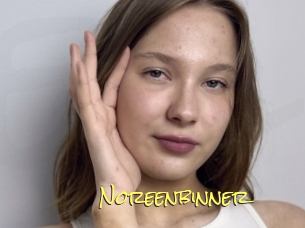 Noreenbinner