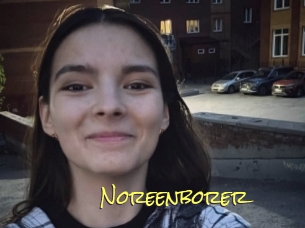 Noreenborer