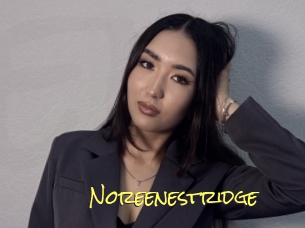 Noreenestridge