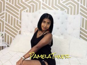 PamelaTuner