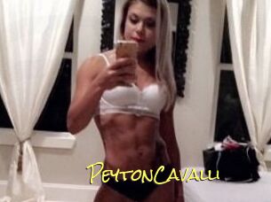 Peyton_Cavalli
