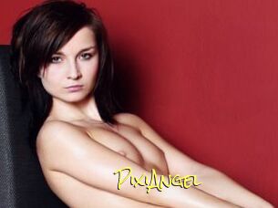 PixiAngel
