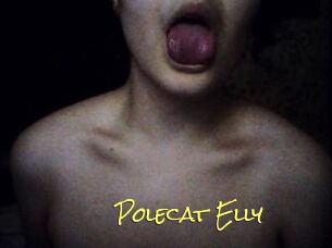 Polecat_Elly