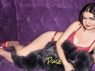 Puse