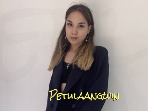 Petulaangwin