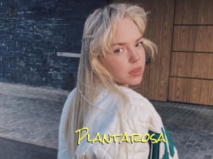 Plantarosa