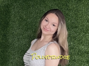 Pollydrudge