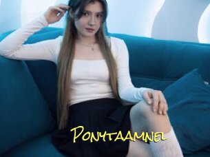 Ponytaamnel