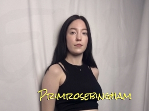 Primrosebingham