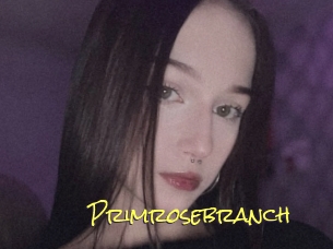 Primrosebranch