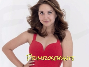 Primrosebunte