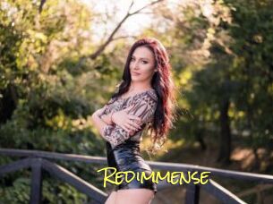 Redimmense