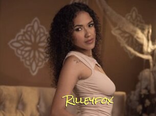 Rilleyfox