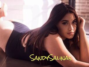 SandySalinas
