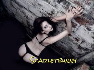 Scarletbunny