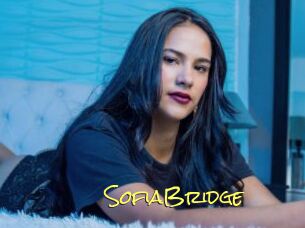 SofiaBridge