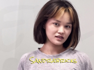 Sandrabricks