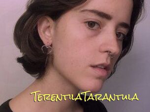 TerentilaTarantula