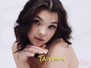 Taiteguy