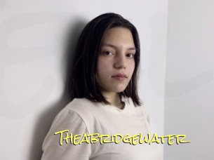 Theabridgewater