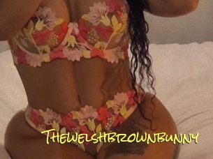 Thewelshbrownbunny