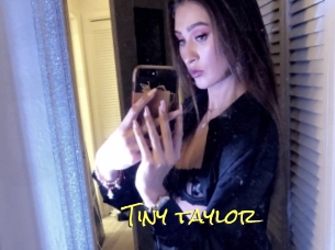Tiny_taylor