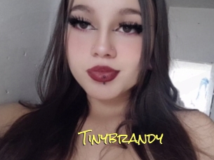 Tinybrandy