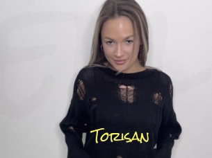 Torisan